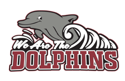 Davis Dolphins.pdf